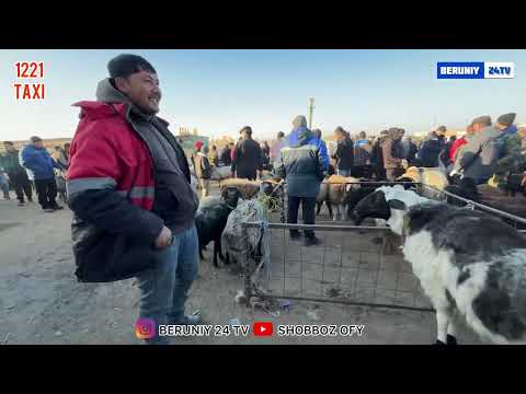 Видео: БЕРУНИЙ КУЙ КУЧКОР БОЗОРИ 4 КИСМ 09.11.2025