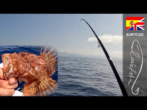 Видео: Донная рыбалка для всех: день на лодке со множеством уловов