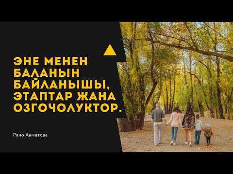 Видео: Эне менен баланын байланышы, этаптар жана озгочолуктор.