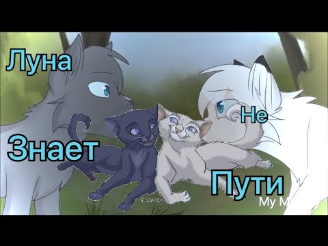 Видео: Коты воители. Белогривка и Синяя Звезда-Луна не знает пути