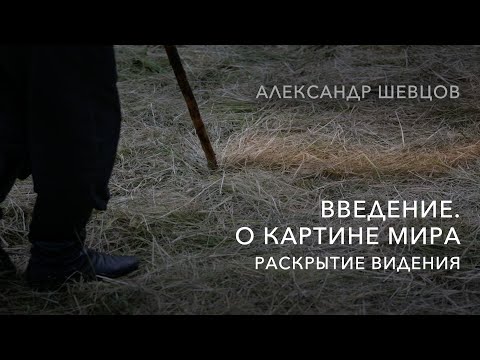 Видео: О видении, картине мира. Раскрытие видения | Александр Шевцов