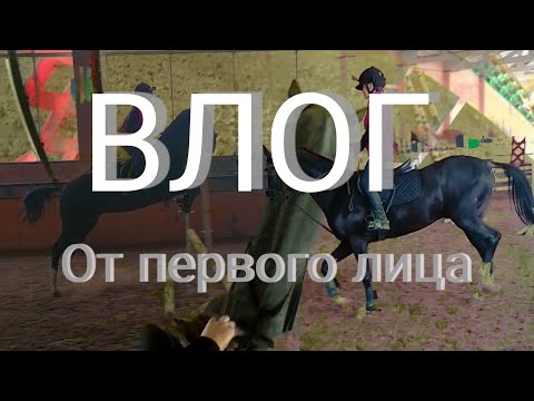 Видео: КОНОВЛОГ от первого лица // Equestrian blog