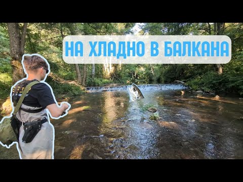 Видео: Риболов на ПЪСТЪРВА  в прохладната ПЛАНИНА ⛰️. За малко да се НАБОДЕМ на БОДЛИВА ТЕЛ 🫣