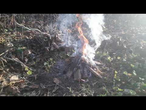Видео: Выездная ритуалика от всех видов порч и родовых проклятий . Чистка костер. Защита с круговой чисткой