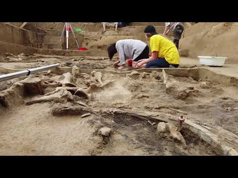 Видео: 3 археологические экспедиции в селе Хотылево Брянской области в 2023 году