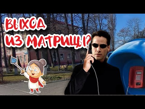 Видео: БЕРЕЗА: город котов, медведей и...