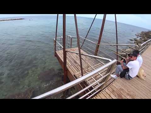 Видео: БАРИ ИТАЛИЯ КАК ДОБРАТЬСЯ НА ГЛАВНЫЙ ГОРОДСКОЙ ПЛЯЖ 2025