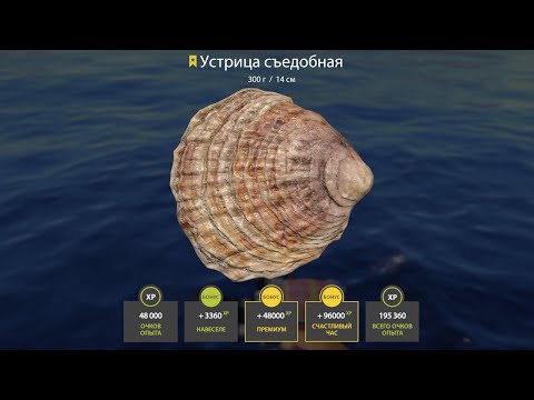 Видео: СУПЕР ФАРМ НА МОРЕ ДО ТАГАРЫ В РУССКОЙ РЫБАЛКЕ 4 СТРИМ РОЗЫГРЫШИ РР4