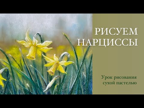 Видео: Нарциссы. Урок рисования сухой пастелью для начинающих