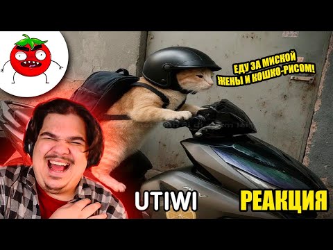 Видео: ▷ ЗАСМЕЯЛСЯ ПРОИГРАЛ | ТЕСТ НА ПСИХИКУ ЧЕЛЕНДЖ | САМЫЕ ЛУЧШИЕ ПРИКОЛЫ | РЕАКЦИЯ