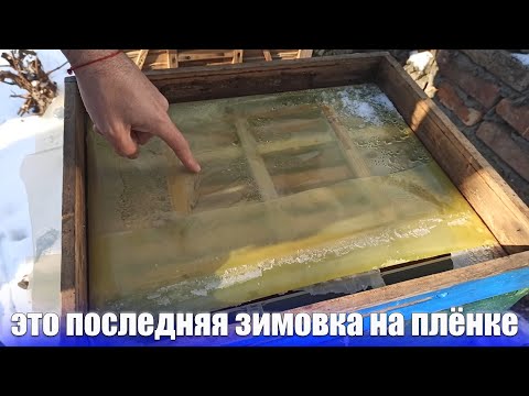 Видео: Проблема зимовки пчел на плёнке. Верхнее утепление улья период морозов зимой пленкой  или фольгоизол