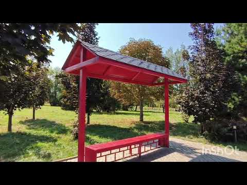 Видео: Осень 🌼🌻в Парке Первого Президента!!!🌲🌳🍀☘️🍂🍁🌿🍄🍁🍂 18 сентября 2024 г.