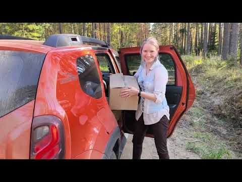 Видео: Подборка выпусков разных птиц