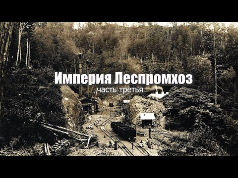 Видео: Империя Леспромхоз часть 3