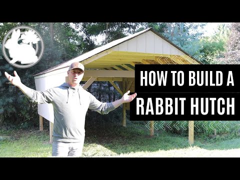 Видео: Как построить клетку для кроликов из подвесных клеток