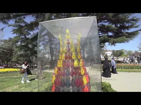 Видео: Стамбул ! Парк Эмирган.