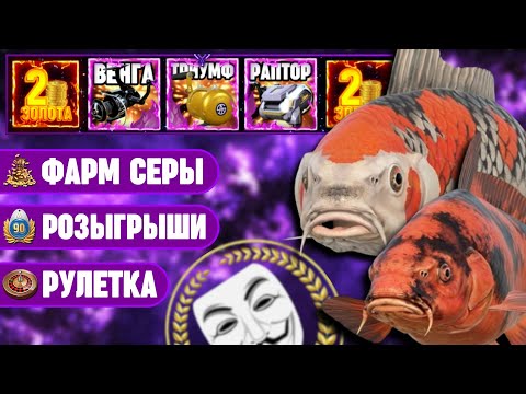Видео: 🔴 СТРИМ РР4┃💰 ФАРМ КОИ НА МЕДНОМ┃🎁 РОЗЫГРЫШ КАЖДЫЕ 20 МИНУТ┃⭐ ТРИУМФ И ВЕНГА В РУЛЕТКЕ┃maXS1k