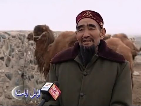 Видео: Қытай Қазақтары