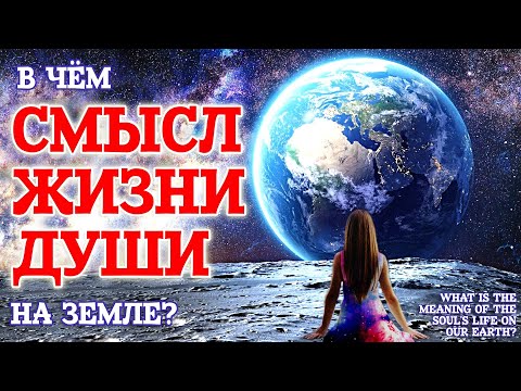 Видео: В чем смысл жизни души на Земле - Жизнь после жизни есть. Я знаю!