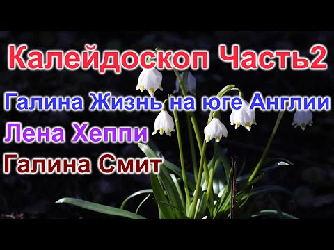Видео: Калейдоскоп Часть2. Новости с полей.Галина Жизнь на юге Англии.Лена Хеппи.Галина Смит