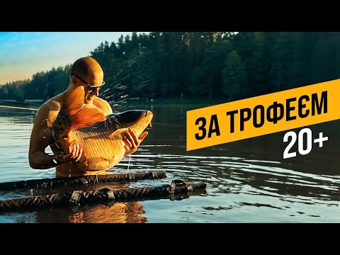 Видео: ТАКТИКА ЛОВЛІ ТРОФЕЙНИХ КОРОПІВ! КОРОП 20+