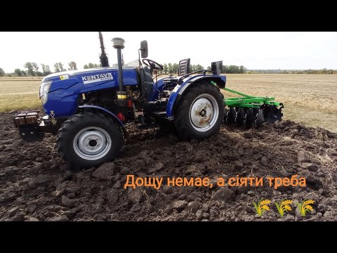 Видео: Робимо пилюку під пшеницю 🌾 Кунтавр 404 та диски Бомет 1.8 виручають