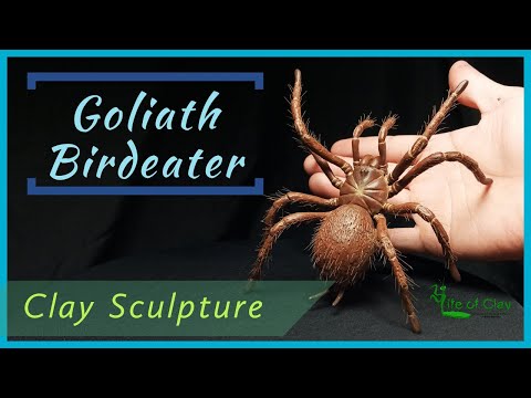 Видео: Лепка птицееда-гиганта (Theraposa blondi)_Полимерная глина_Жизнь из глины