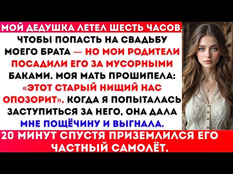 Видео: Дедушка прилетел 6 часов на свадьбу моего брата — мама посадила его рядом с мусором и дала мне