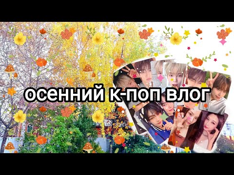 Видео: 🍁 к-поп влог: распаковка карт за сентябрь + сокращение коллекции