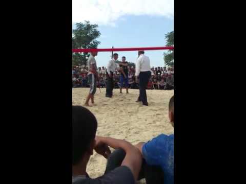 Видео: Ренат балбан Додоңбай- Додон курош. 2015 Кенеш.