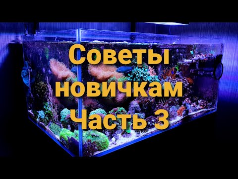 Видео: Советы новичкам. Часть 3