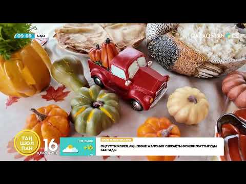 Видео: «Мандарин» үйрегі, жібек қораз, тауыс І Сқо-да  экзотикалық құстар өсіріледі