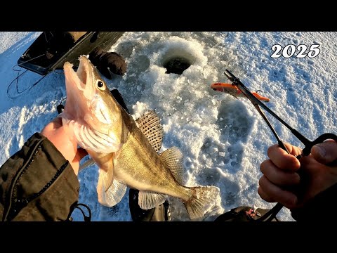 Видео: НАШЛИ СУДАКА В СТАЕ ЛЕЩА! Судаки загибают удочку на приманки. Зимняя рыбалка 2025.