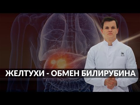 Видео: ЖЕЛТУХИ - ОБМЕН БИЛИРУБИНА ЗА 7 МИНУТ !!!