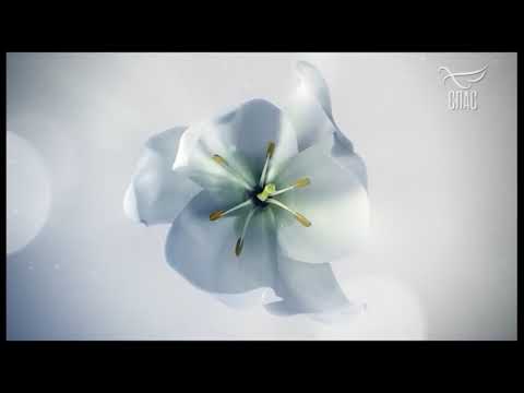 Видео: Заставки телеканала "Спас". (Февраль, 2021)