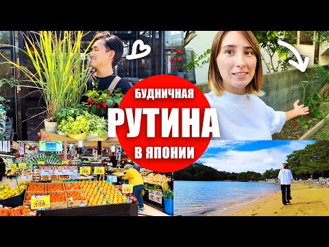 Видео: Обустраиваем сад и новый дом в Фукуока! Наша будничная рутина в Японии