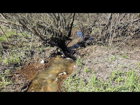 Видео: Первая рыбалка в 2025 году! Отлично порыбачили и открыли рыболовный сезон по открытой воде.