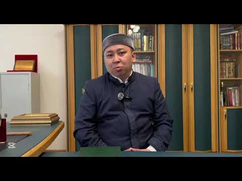 Видео: Хамзат Имам