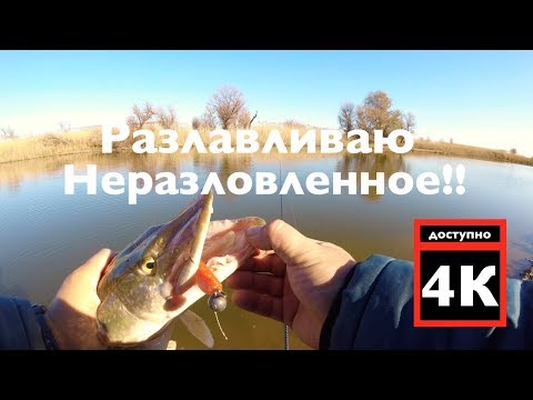 Видео: Береговая рыбалка. БЕШЕННЫЕ ЩУКИ!! Бешенные поклёвки щуки!! 4К