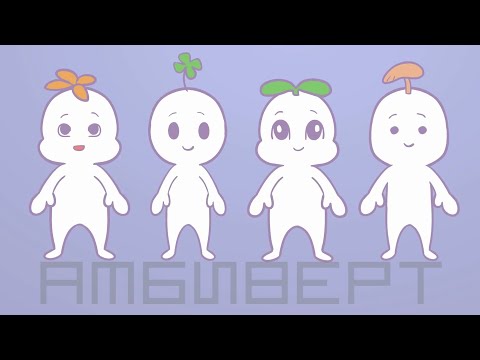 Видео: АМБИВЕРТ 9 Вещей, Которые Делают Вашего Экстраверта И Интроверта Привлекательным