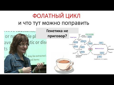 Видео: фолатный цикл и его генетика :-)