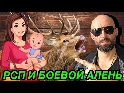 Видео: РСП и Боевой Алень. История из жизни.