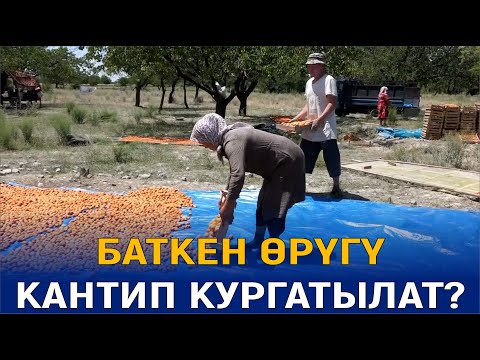 Видео: БАТКЕН ОБЛУСУНУН КЫРГЫЗ-КЫШТАК АЙЫЛЫНА САЯКАТ