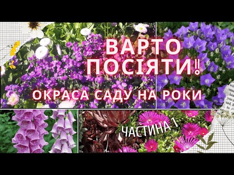 Видео: БАГАТОРІЧНІ КВІТИ з насіння. Посій зараз, щоб мати гарні квітники за невеликі гроші