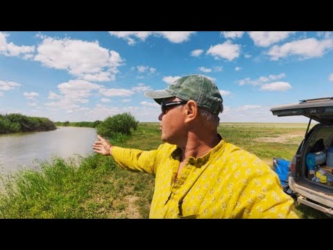 Видео: Бешеная рыбалка на закидушки! Сазан отказался, но рыба шла валом.🎣🔥