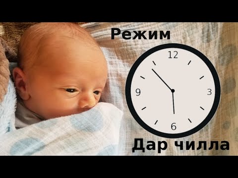 Видео: Режими ман дар чилла!