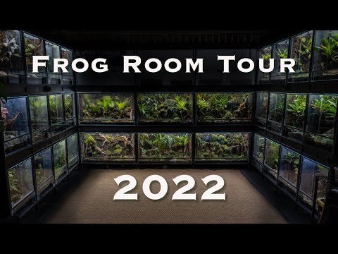Видео: Тур Frog Room 2022! Новая система стоек уже построена!