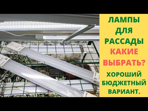 Видео: Какие лампы выбрать для выращивания качественной рассады. Все о подсветке для моих растений.