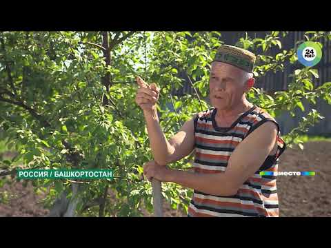 Видео: Спасали всем Союзом. 30 лет трагедии под Ашой