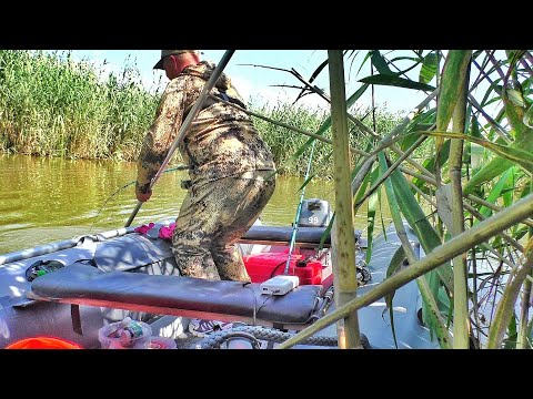 Видео: НЕ МОГУ ОСТАНОВИТЬ ЭТУ ТОРПЕДУ😱!!! ВОТ ЭТО РЫБАЛКА!!! Рыбалка на обычные снасти.